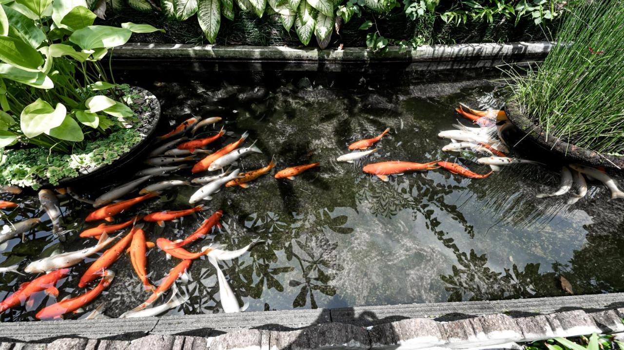 Gunung Merta Bungalows Ubud  Luaran gambar